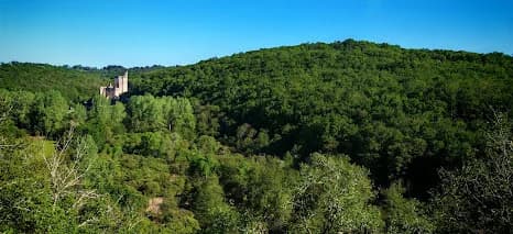 Château entouré de forêt en Périgord