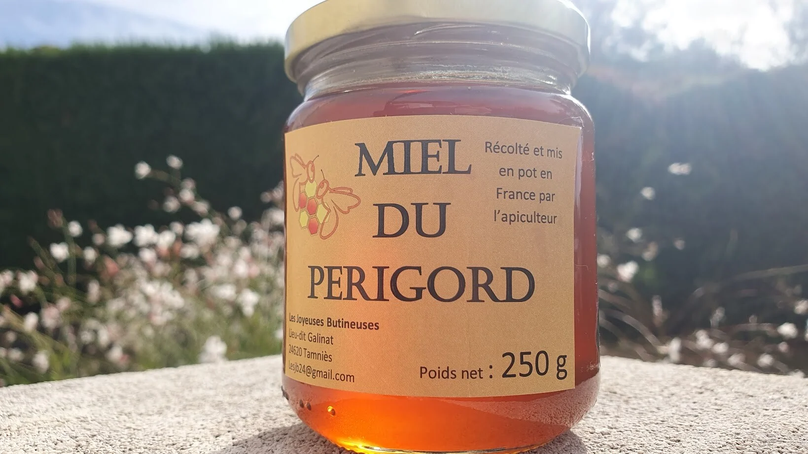 Miel du Périgord